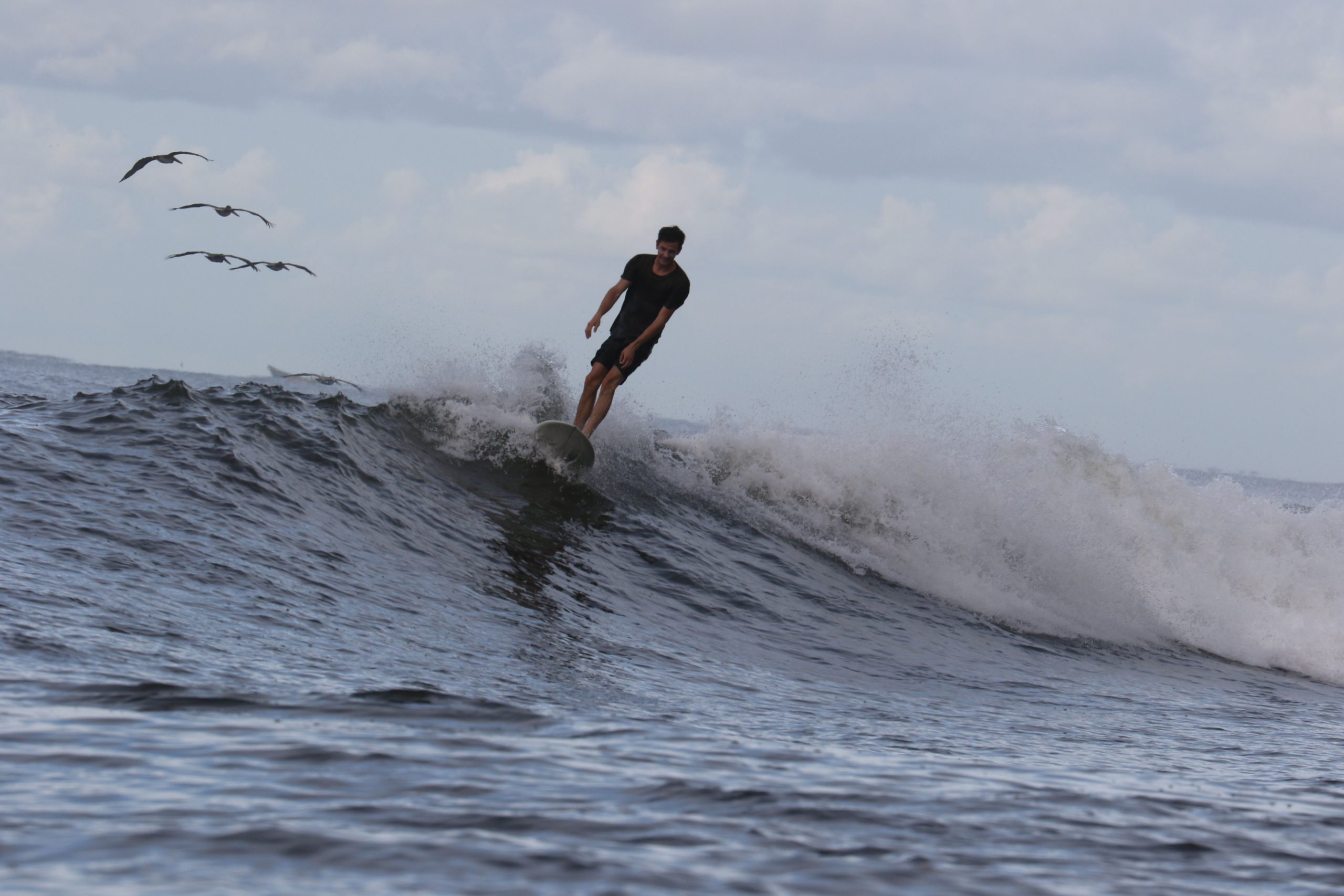 CALIFORNIA FISH – FURROWSURFCRAFT